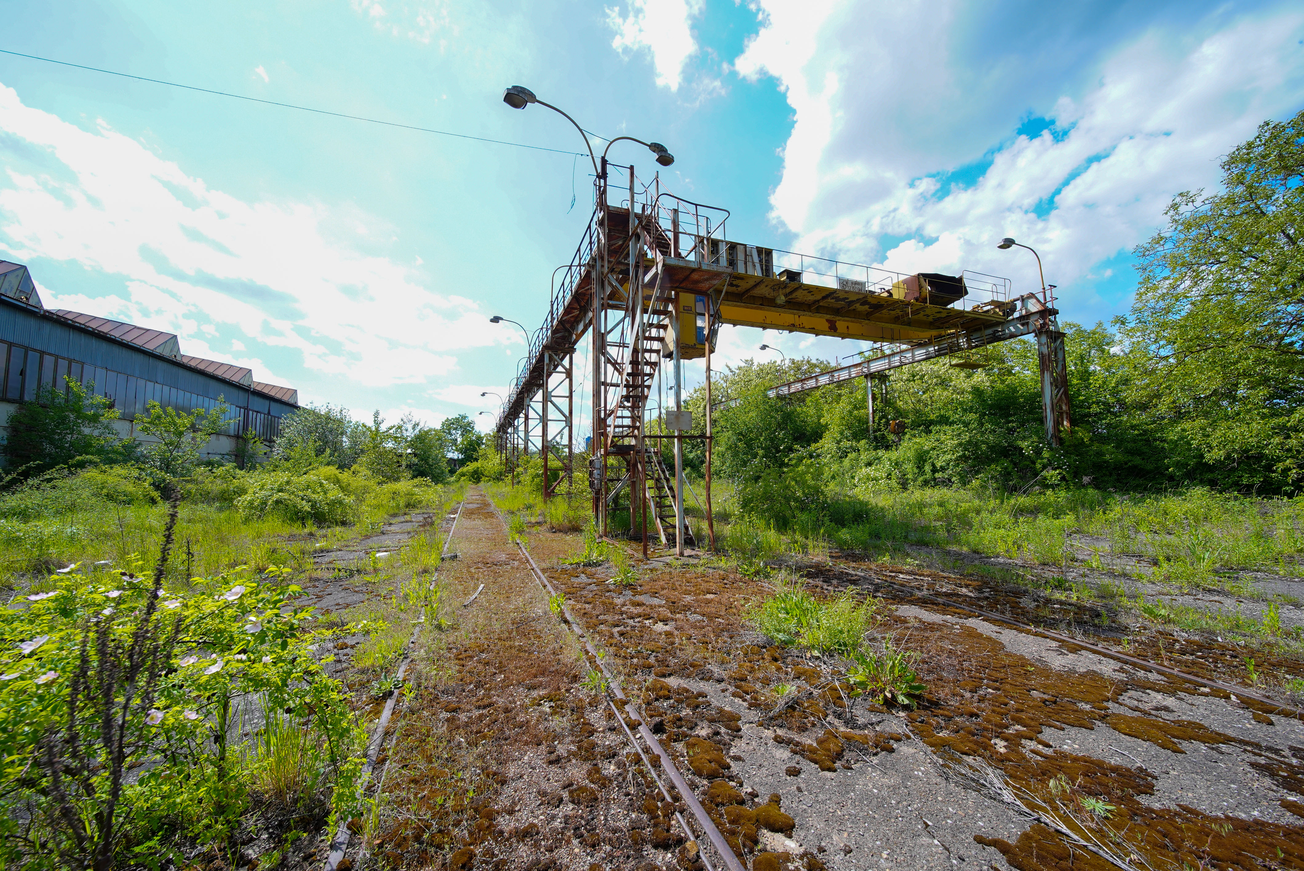Na predaj Colný sklad s výrobnými priestormi, 26442 m2, Trebišov