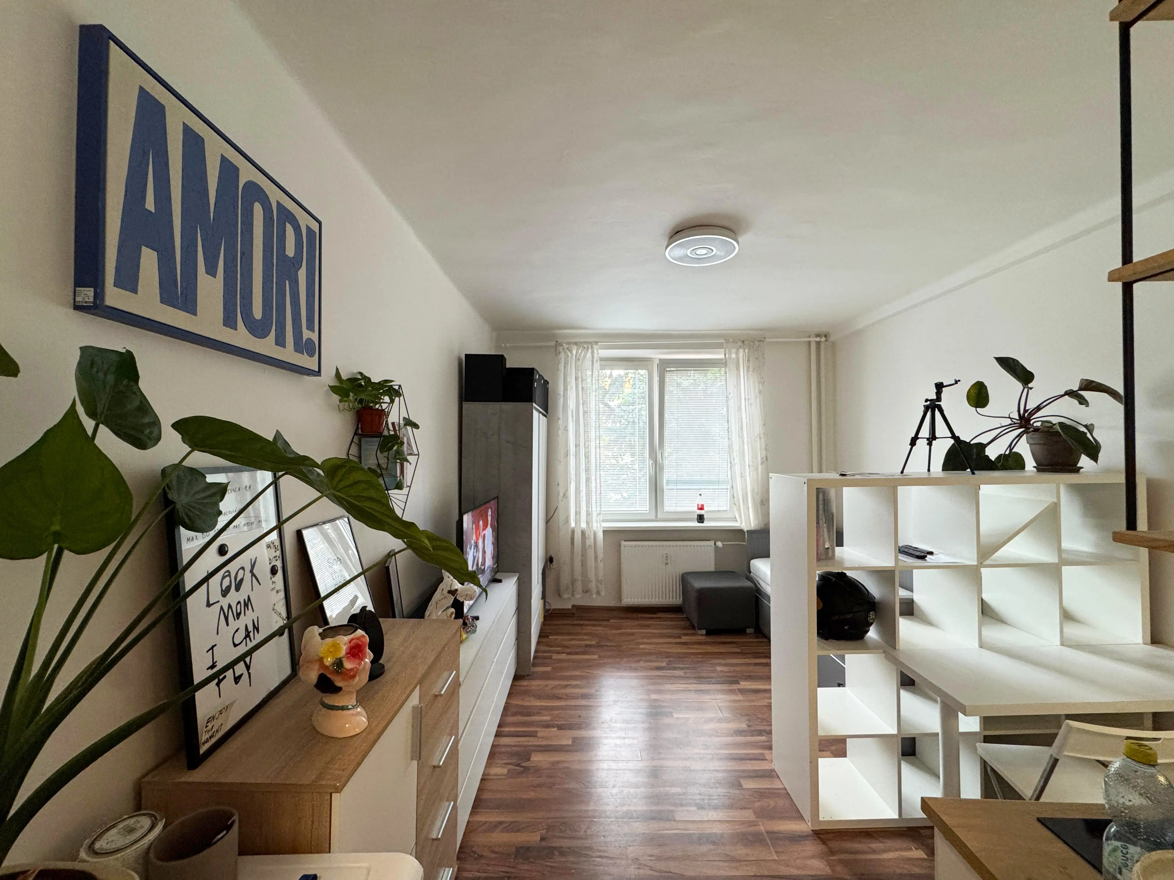 Na prenájom Garsónka 22 m2 blízko centra, TUKE, Komenského